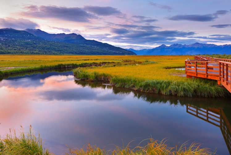 Beautiful Alaska Landscape