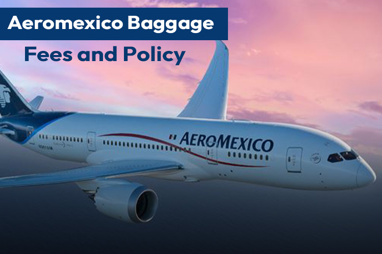 Guide to Aeromexico Baggage policy