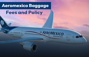 Guide to Aeromexico Baggage policy