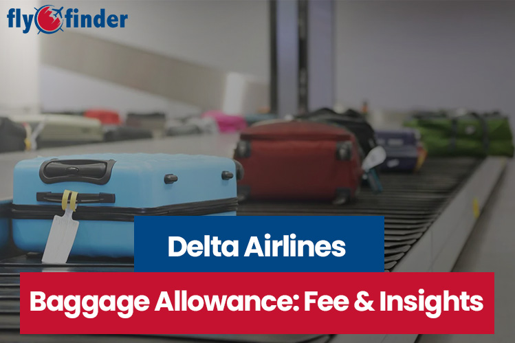 Delta Airlines Baggage Policy