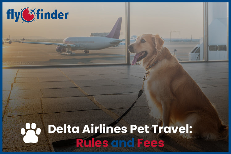 Delta Airlines Pet Travel Policy