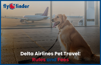 Delta Airlines Pet Travel Policy