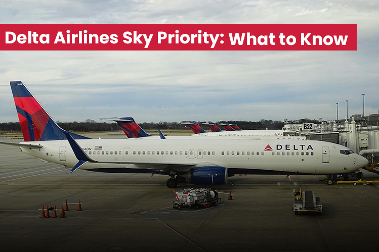 Delta Airlines Sky Priority- FlyOfinder