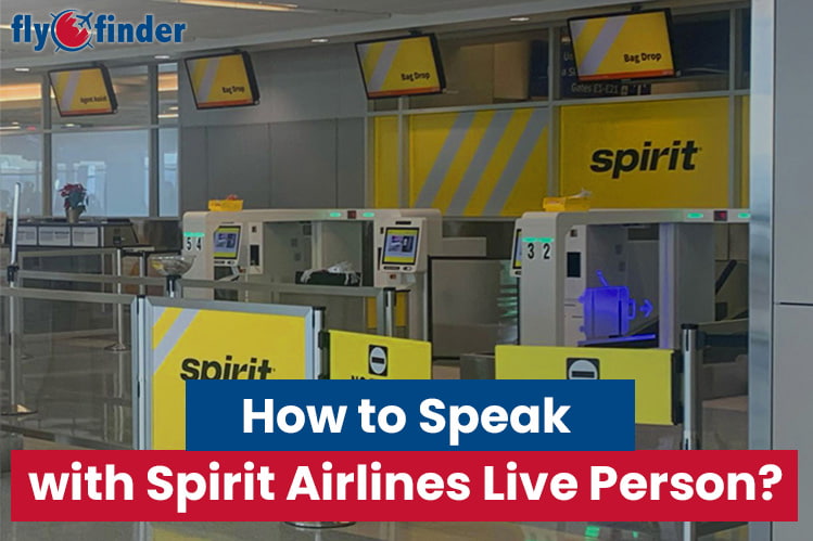 How to Talk to Spirit Airlines Live Person? Spirit Live Agents