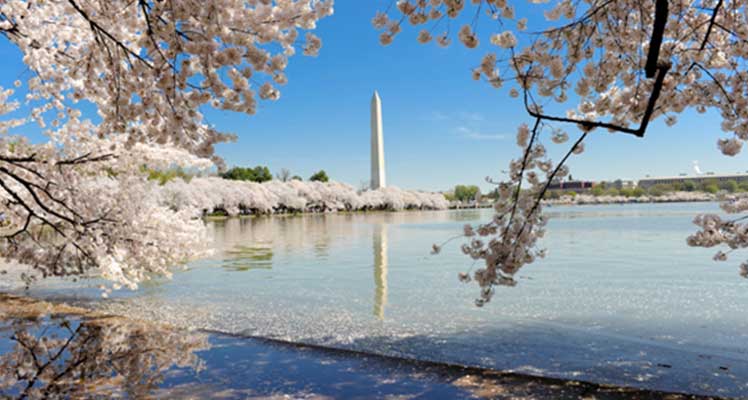 Travel Guide to Washington DC