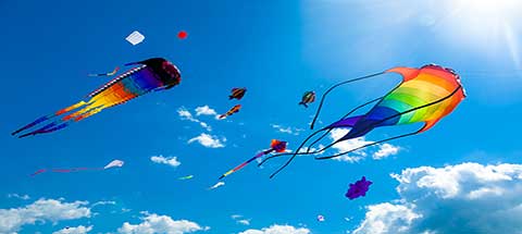 Zilker Park Kite Festival – Austin’s famous annual event heralding springtime activities!