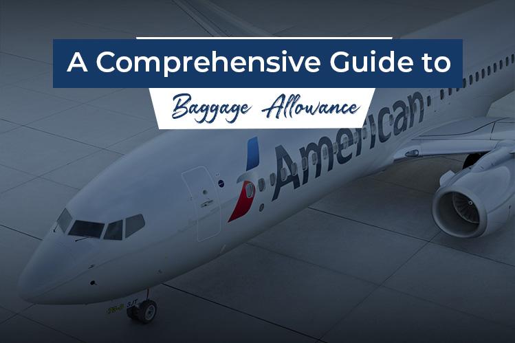 Guide to American Airlines Baggage Allowance in 2026 Image