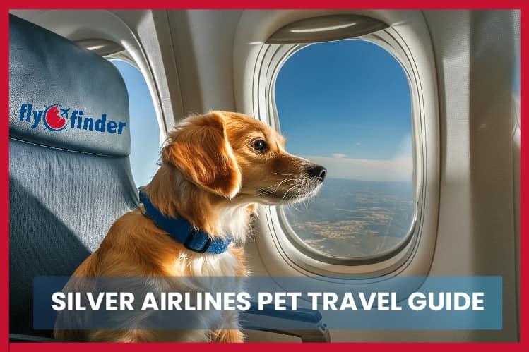 What is Silver Airways Pet Policy? Image