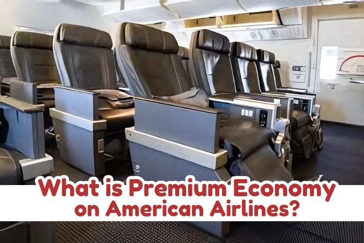 What is Premium Economy on American Airlines? Image