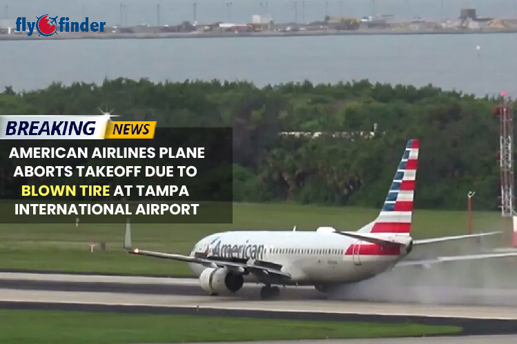 American Airlines Plane Aborts Takeoff Due to Blown Tire at Tampa International Airport  Image