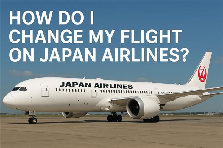 How do I Change My Flight on Japan Airlines? Image